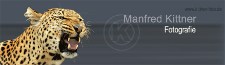 kittner-foto.jpg